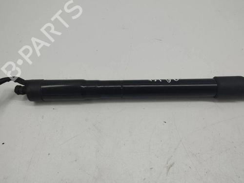 Tailgate lift support LAND ROVER RANGE ROVER EVOQUE (L538) 2.2 D 4x4 | BP28898705C138 