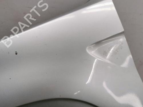 Left front fenders BMW X5 (E53) 3.0 d | BP28887448C41 