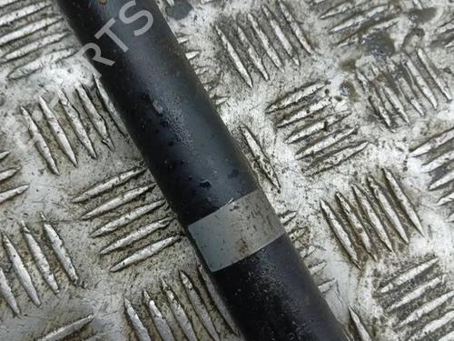 Right rear shock absorber RENAULT CLIO V (B7_) 1.3 TCe 130 (B7MF) | BP28856471M19 