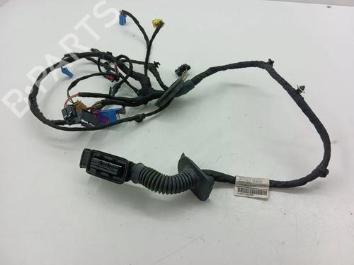 Used Wiring harness Wiring harness 36139138 36139138