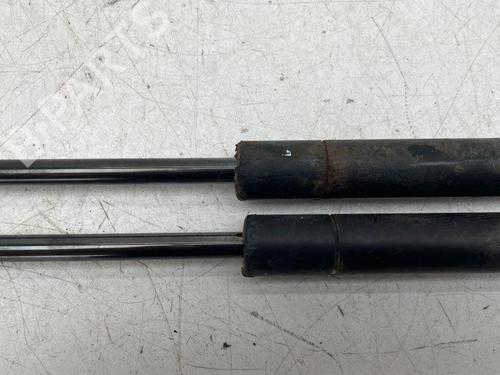 Tailgate lift support FORD KUGA I 2.0 TDCi 4x4 | BP28893381C138 