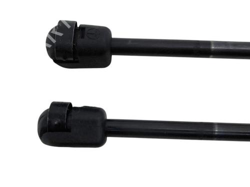 Tailgate lift support LAND ROVER RANGE ROVER SPORT I (L320) 2.7 D 4x4 | BP28894763C138 