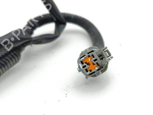 Wiring harness NISSAN 350Z Coupe (Z33) 3.5 (AAZ33) | BP28882300E16 