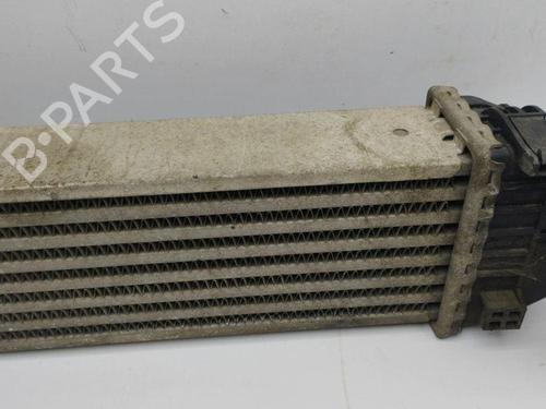 Intercooler MERCEDES-BENZ A-CLASS (W169) A 180 CDI (169.007, 169.307) | BP28902073M30 