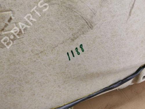 Interior roof JAGUAR XF I (X250) 2.7 D | BP28905288I12 