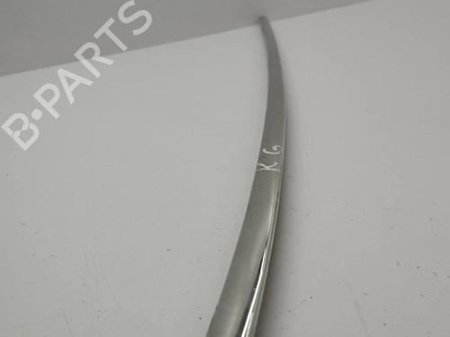 Door moulding trim BENTLEY CONTINENTAL FLYING SPUR (3W_) 6.0 | BP28898576C150 