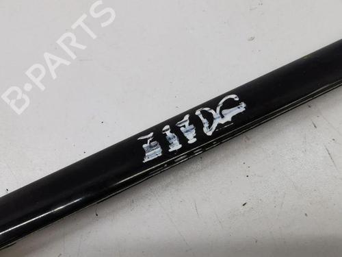 Door moulding trim BMW X5 (E53) 4.4 i | BP28897815C150 