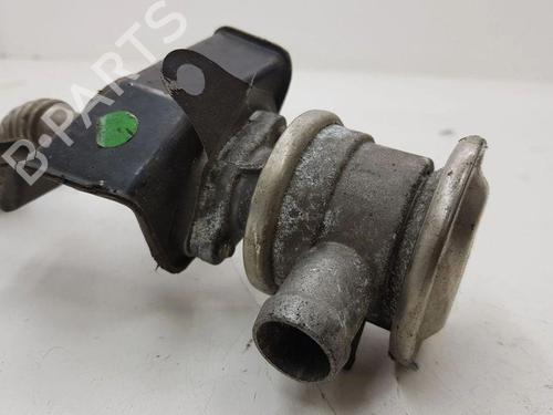 Egr MASERATI QUATTROPORTE V 4.2 | BP28903826M69 