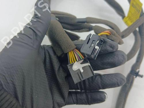Wiring harness OPEL ANTARA A (L07) 2.2 CDTi | BP28904316E16 