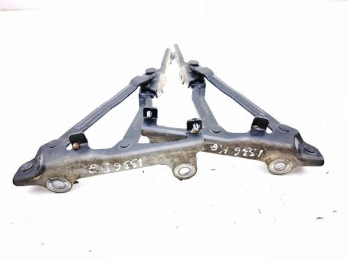 Hinge/Door check strap TOYOTA GT 86 Coupe (ZN6_) 2.0 (ZN6AC_, ZN6BC_, ZN6K) | BP29813052C146