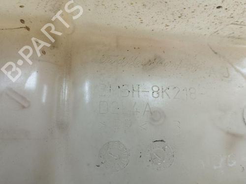 Expansion tank FORD KUGA I 2.0 TDCi | BP28888099C120 