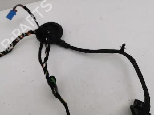 Wiring harness VW ARTEON (3H7, 3H8) 2.0 TDI 4motion | BP28863595E16 