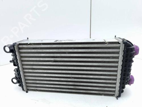 Intercooler PEUGEOT 2008 II (UD_, US_, UY_, UJ_, UR_, UC_) 1.2 PureTech 130 (USHNS, URHNS) | BP29510206M30 