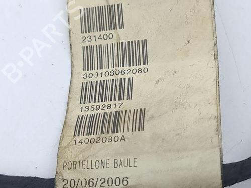 Wiring harness MASERATI QUATTROPORTE V 4.2 | BP28878260E16 
