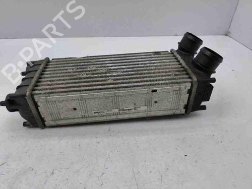 Intercooler CITROËN DS4 (NX_) 1.6 HDi 110 | BP28887739M30 