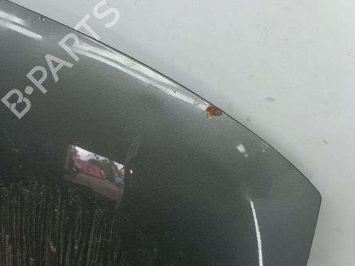 Hood SEAT TOLEDO II (1M2) 1.9 TDI | BP28891428C1 