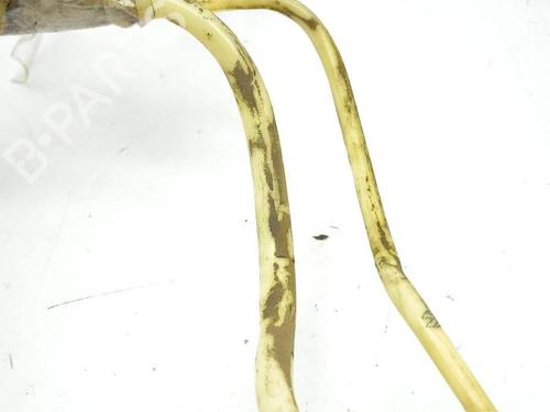 Pipe PORSCHE CAYENNE (92A) 3.6 | BP28879626M125 