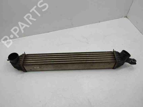 Used Intercooler MINI MINI COUNTRYMAN (R60) Cooper S ALL4 (184 hp) 28853225