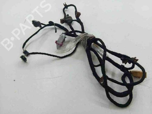 Kabelbaum für BENTLEY CONTINENTAL FLYING SPUR (3W_) 6.0 (560 hp) 28898629