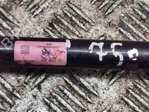 Anti roll bar KIA NIRO I (DE) 1.6 GDI Hybrid | BP28858497M96