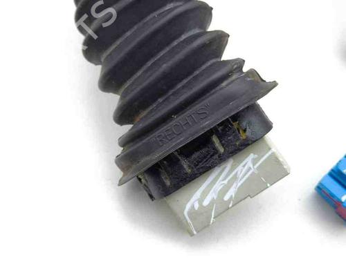 Wiring harness BENTLEY CONTINENTAL FLYING SPUR (3W_) 6.0 | BP28883462E16 