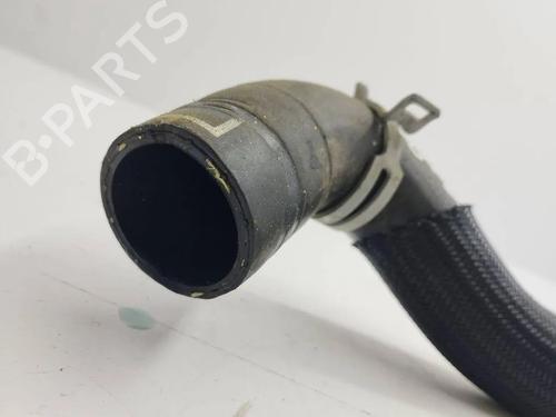 Pipe NISSAN JUKE (F16_) DIG-T 117 | BP36103122M125 - Image 2