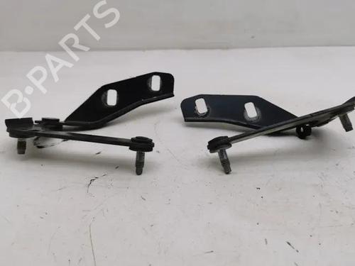 Hinge/Door check strap FORD C-MAX (DM2) 2.0 TDCi | BP28843112C146 