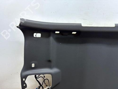 Interior roof PEUGEOT 2008 II (UD_, US_, UY_, UJ_, UR_, UC_) 1.2 PureTech 130 (USHNS, URHNS) | BP29829174I12
