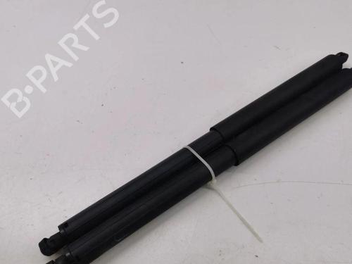 Gassdemper Bakluke BMW X5 (E70) xDrive 30 d | BP28898039C138 
