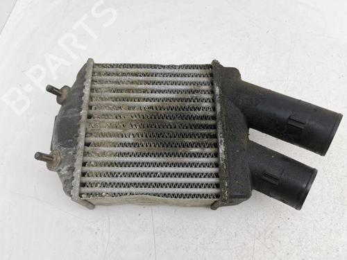 Intercooler RENAULT MEGANE Scenic (JA0/1_) 1.9 dTi (JA0N) (98 hp) 28887404