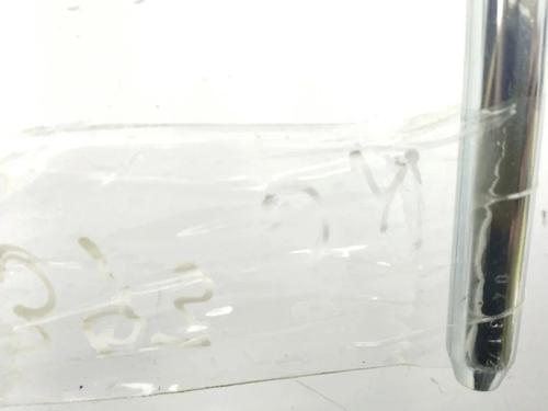 Headrest FORD FOCUS C-MAX (DM2) 1.6 TDCi | BP28891496I31 - Image 2