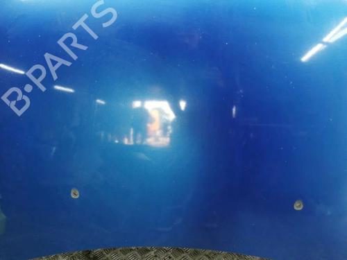 Hood PEUGEOT 308 I (4A_, 4C_) 1.6 HDi | BP28901766C1 