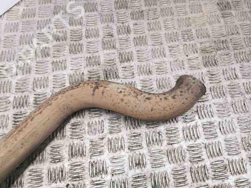 Udstødningssystem ALFA ROMEO GIULIA (952_) 2.0 (952ACA25) | BP28883062M121 