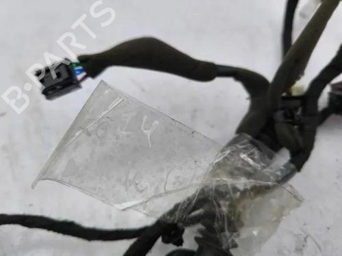 Wiring harness OPEL ANTARA A (L07) 2.2 CDTi | BP28854389E16 