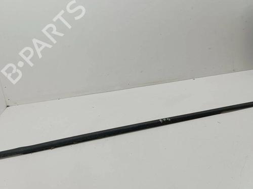Door moulding trim INFINITI FX 35 All-wheel Drive | BP28896402C150 