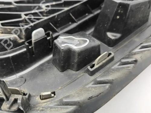 Grille NISSAN QASHQAI II (J11, J11_) 1.5 dCi | BP28862049C40 
