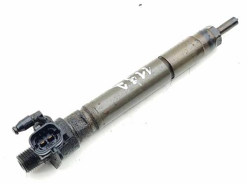 Injector LAND ROVER RANGE ROVER EVOQUE (L538) 2.2 D 4x4 | BP30643696M100