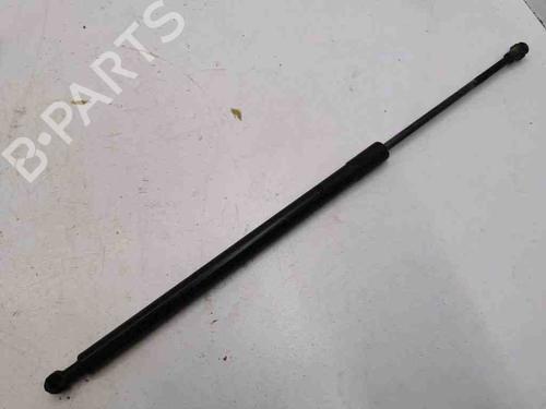 Tailgate lift support BMW X5 (E53) 4.4 i | BP28893488C138 