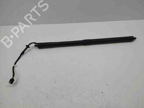 Used Tailgate lift support LAND ROVER RANGE ROVER EVOQUE (L538) 2.2 D 4x4 (190 hp) 28898705