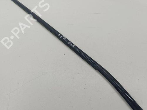 Door moulding trim BMW X5 (E70) xDrive 30 d | BP28898008C150 