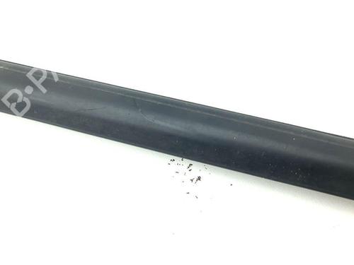 Door moulding trim NISSAN X-TRAIL II (T31) 2.0 dCi 4x4 | BP28877347C150 