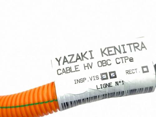 Cable CITROËN C4 III (BA_, BB_, BC_) ë-C4 (BCZKXC, BZCKSC) | BP40232985E12 - Image 2