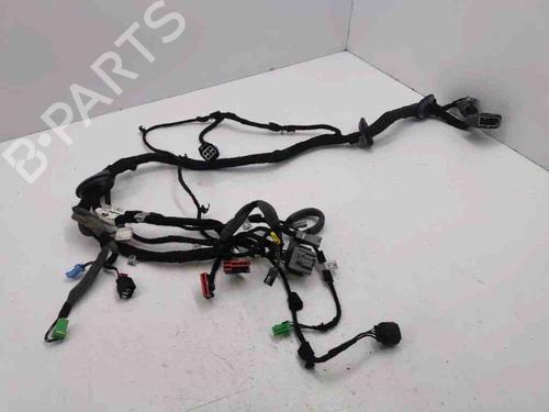 Wiring harness LAND ROVER RANGE ROVER EVOQUE (L538) 2.2 D 4x4 | BP28898657E16