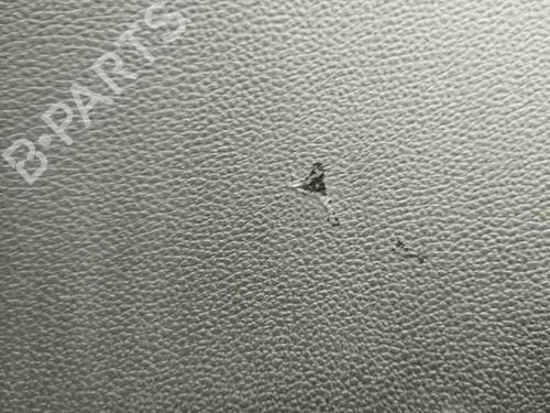 Rear left panel RENAULT CLIO V (B7_) 1.3 TCe 130 (B7MF) | BP28856457C60 