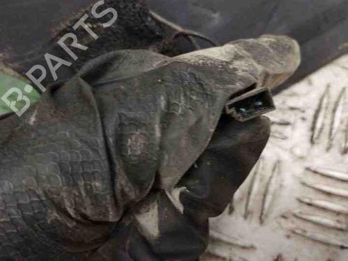 Bootlid window PEUGEOT 407 Coupe (6C_) 2.0 HDi | BP28842097C64