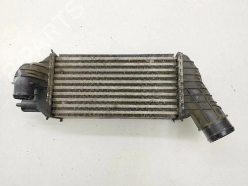Used Intercooler Intercooler CITROËN DS5 2.0 HDi 165 (163 hp) 40209509 40209509