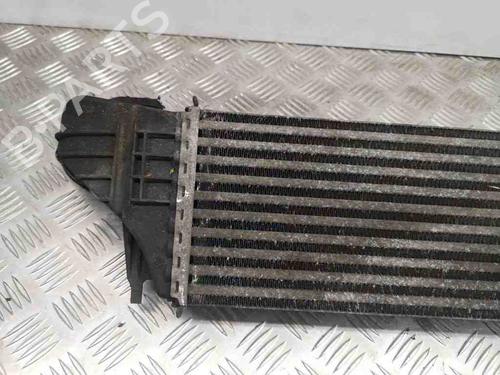 Intercooler BMW X5 (E53) 3.0 d | BP28886124M30 