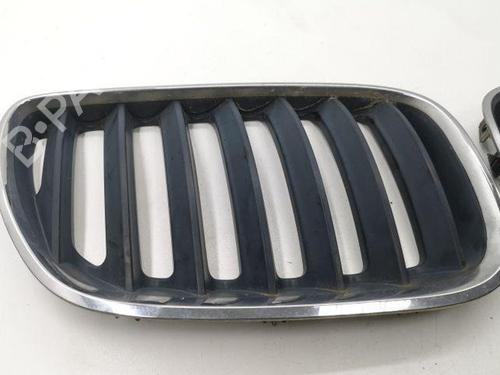 Grille BMW X5 (E53) 3.0 d | BP28868477C40 