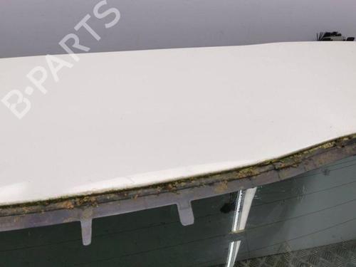 Tailgate PORSCHE CAYENNE (92A) 3.0 Diesel | BP28898089C6 