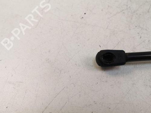 Tailgate lift support KIA CARNIVAL II (GQ) 2.9 CRDi | BP28886169C138 